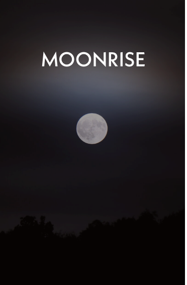 Moonrise book